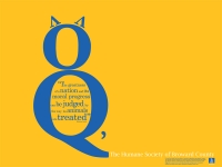 10_cat-poster.jpg