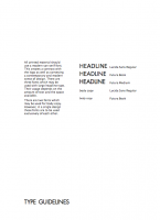Brand Guidelines 11_picture-21.png